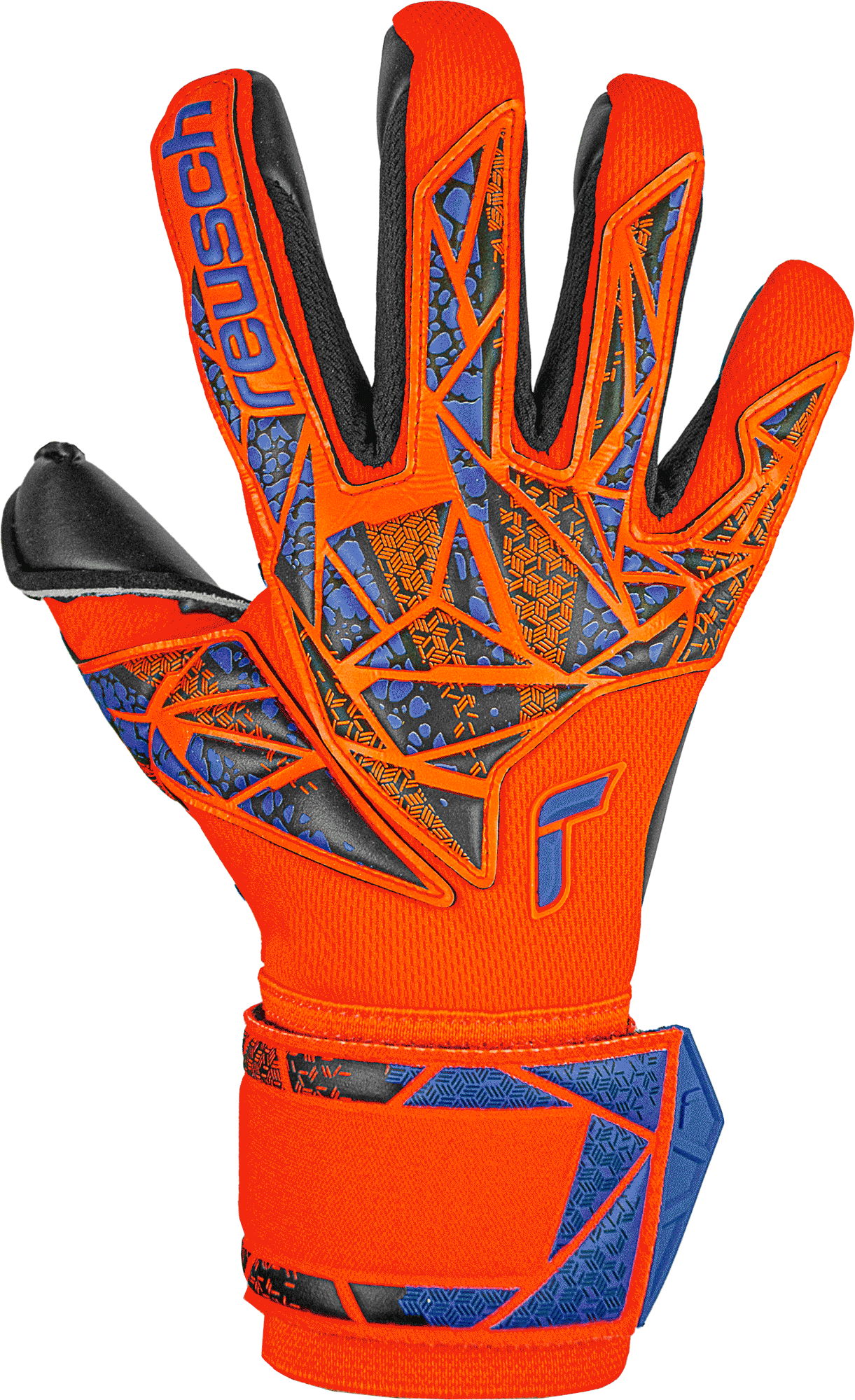 Guantes de portero Reusch Attrakt Duo 2022 - Tienda Deportiva %