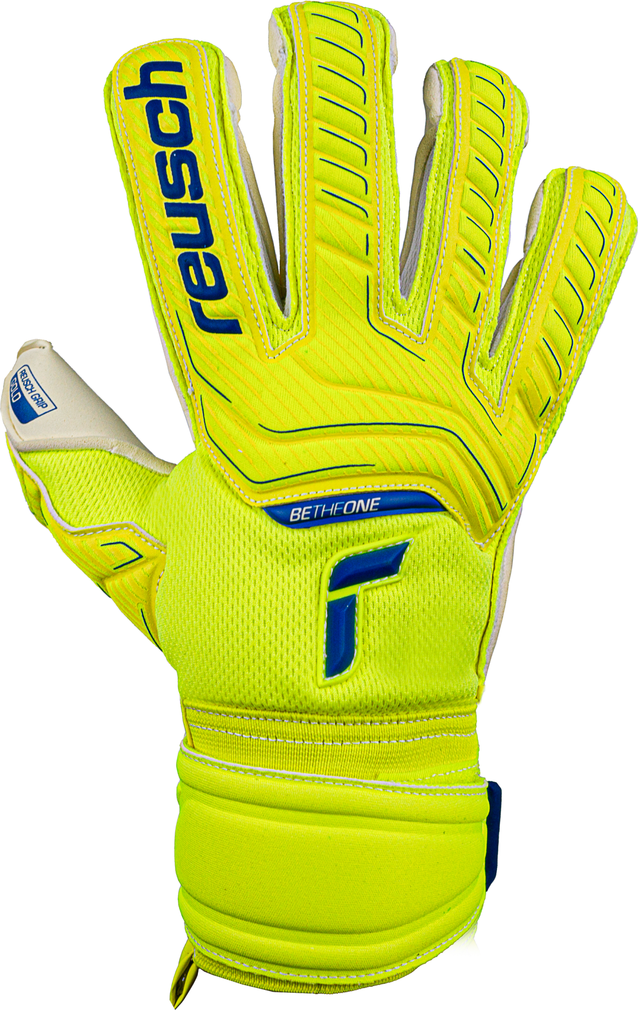 reusch evolution cut