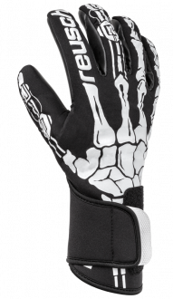 reusch xray