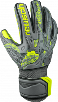 reusch xray